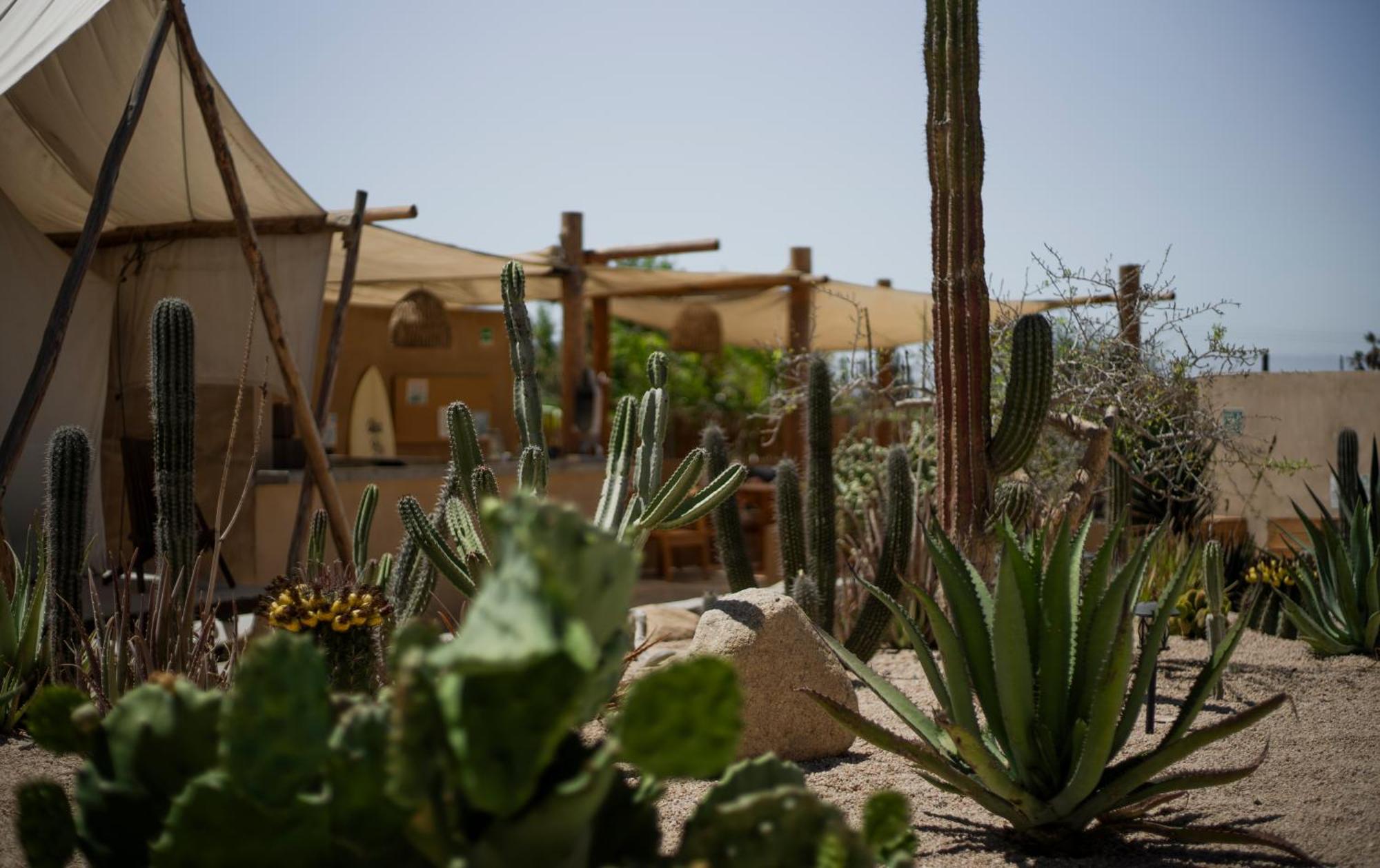 Baja Temple Hotel Todos Santos Luaran gambar